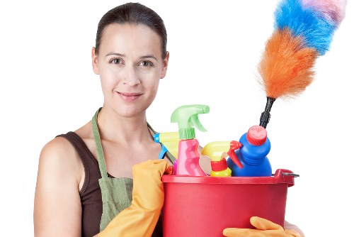 Living room carpet cleaning for pet stain odour removal