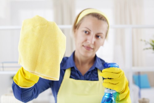 Enzymatic cleaner used for pet urine odour on carpet