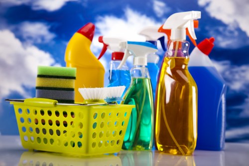 Illustration of stain removal basics with cleaning supplies