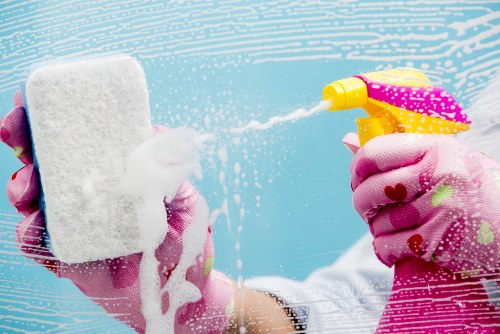 Deep carpet cleaning treatment for a busy household