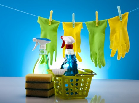 Professional sofa cleaning process in a modern home
